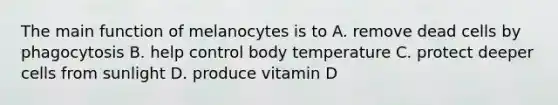 The main function of melanocytes is to A. remove dead cells by phagocytosis B. help control body temperature C. protect deeper cells from sunlight D. produce vitamin D