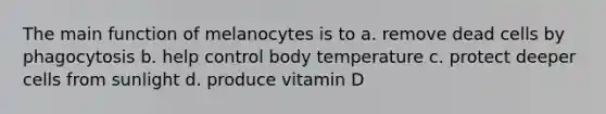 The main function of melanocytes is to a. remove dead cells by phagocytosis b. help control body temperature c. protect deeper cells from sunlight d. produce vitamin D