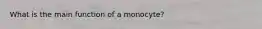 What is the main function of a monocyte?