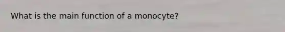 What is the main function of a monocyte?