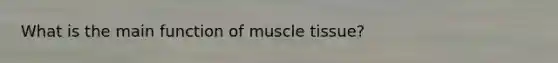 What is the main function of muscle tissue?