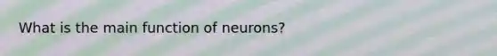 What is the main function of neurons?