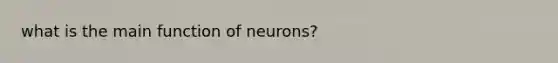 what is the main function of neurons?