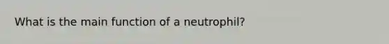 What is the main function of a neutrophil?