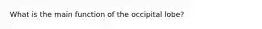 What is the main function of the occipital lobe?