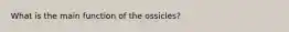 What is the main function of the ossicles?