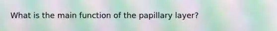 What is the main function of the papillary layer?