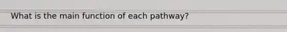 What is the main function of each pathway?