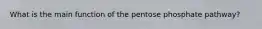 What is the main function of the pentose phosphate pathway?