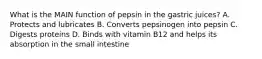 What is the MAIN function of pepsin in the gastric juices? A. Protects and lubricates B. Converts pepsinogen into pepsin C. Digests proteins D. Binds with vitamin B12 and helps its absorption in the small intestine