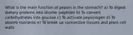 What is the main function of pepsin in the stomach? a) To digest dietary proteins into shorter peptides b) To convert carbohydrates into glucose c) To activate pepsinogen d) To absorb nutrients e) To break up connective tissues and plant cell walls