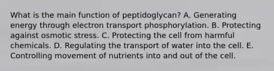 What is the main function of peptidoglycan? A. Generating energy through electron transport phosphorylation. B. Protecting against osmotic stress. C. Protecting the cell from harmful chemicals. D. Regulating the transport of water into the cell. E. Controlling movement of nutrients into and out of the cell.