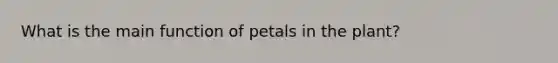 What is the main function of petals in the plant?