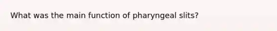 What was the main function of pharyngeal slits?