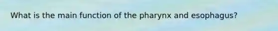 What is the main function of the pharynx and esophagus?