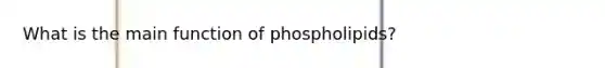 What is the main function of phospholipids?