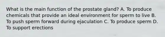 What is the main function of the prostate gland? A. To produce chemicals that provide an ideal environment for sperm to live B. To push sperm forward during ejaculation C. To produce sperm D. To support erections