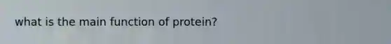 what is the main function of protein?