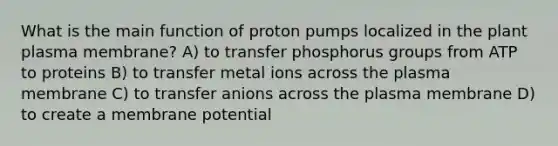 What is the main function of proton pumps localized in the plant plasma membrane? A) to transfer phosphorus groups from ATP to proteins B) to transfer metal ions across the plasma membrane C) to transfer anions across the plasma membrane D) to create a membrane potential