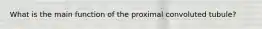 What is the main function of the proximal convoluted tubule?