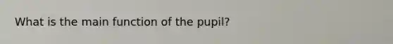 What is the main function of the pupil?