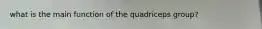 what is the main function of the quadriceps group?