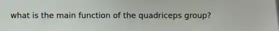 what is the main function of the quadriceps group?