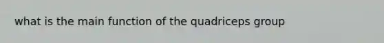 what is the main function of the quadriceps group