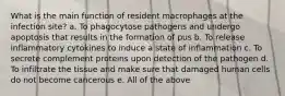 What is the main function of resident macrophages at the infection site? a. To phagocytose pathogens and undergo apoptosis that results in the formation of pus b. To release inflammatory cytokines to induce a state of inflammation c. To secrete complement proteins upon detection of the pathogen d. To infiltrate the tissue and make sure that damaged human cells do not become cancerous e. All of the above