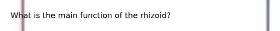 What is the main function of the rhizoid?