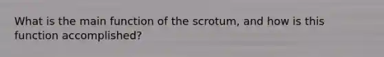 What is the main function of the scrotum, and how is this function accomplished?