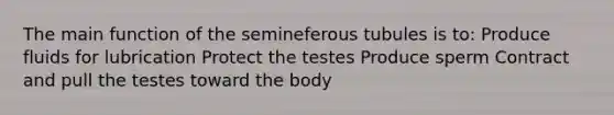 The main function of the semineferous tubules is to: Produce fluids for lubrication Protect the testes Produce sperm Contract and pull the testes toward the body