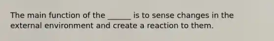 The main function of the ______ is to sense changes in the external environment and create a reaction to them.