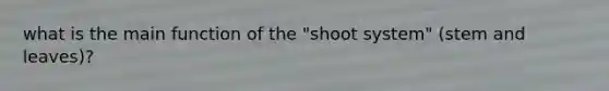 what is the main function of the "shoot system" (stem and leaves)?