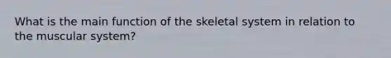 What is the main function of the skeletal system in relation to the muscular system?