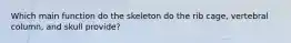 Which main function do the skeleton do the rib cage, vertebral column, and skull provide?