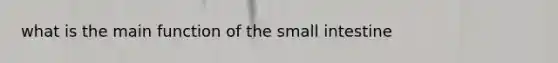 what is the main function of the small intestine