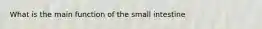 What is the main function of the small intestine