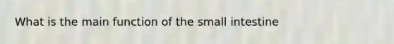 What is the main function of the small intestine