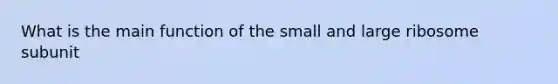 What is the main function of the small and large ribosome subunit