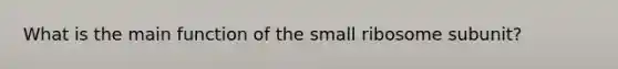 What is the main function of the small ribosome subunit?