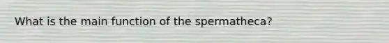 What is the main function of the spermatheca?