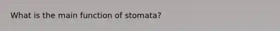 What is the main function of stomata?