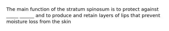 The main function of the stratum spinosum is to protect against _____ ______ and to produce and retain layers of lips that prevent moisture loss from the skin