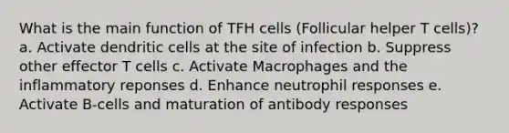 What is the main function of TFH cells (Follicular helper T cells)? a. Activate dendritic cells at the site of infection b. Suppress other effector T cells c. Activate Macrophages and the inflammatory reponses d. Enhance neutrophil responses e. Activate B-cells and maturation of antibody responses