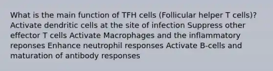 What is the main function of TFH cells (Follicular helper T cells)? Activate dendritic cells at the site of infection Suppress other effector T cells Activate Macrophages and the inflammatory reponses Enhance neutrophil responses Activate B-cells and maturation of antibody responses