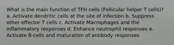 What is the main function of TFH cells (Follicular helper T cells)? a. Activate dendritic cells at the site of infection b. Suppress other effector T cells c. Activate Macrophages and the inflammatory responses d. Enhance neutrophil responses e. Activate B-cells and maturation of antibody responses