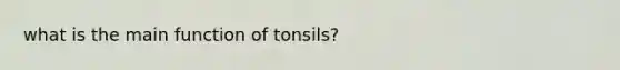 what is the main function of tonsils?