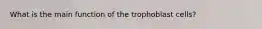 What is the main function of the trophoblast cells?