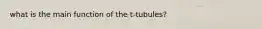 what is the main function of the t-tubules?